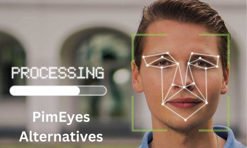 Best PimEyes Alternatives: Top 10 People Search Engines in 2025