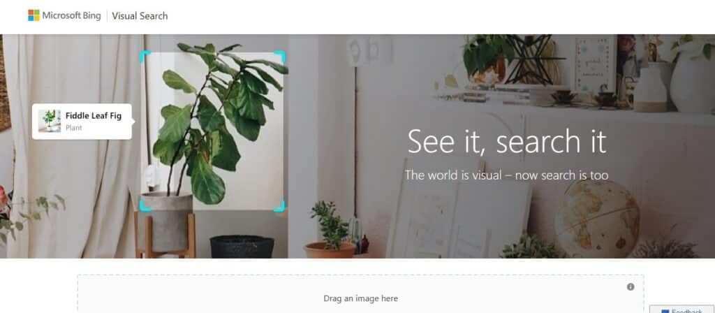 Bing Visual Search Best PimEyes Alternative