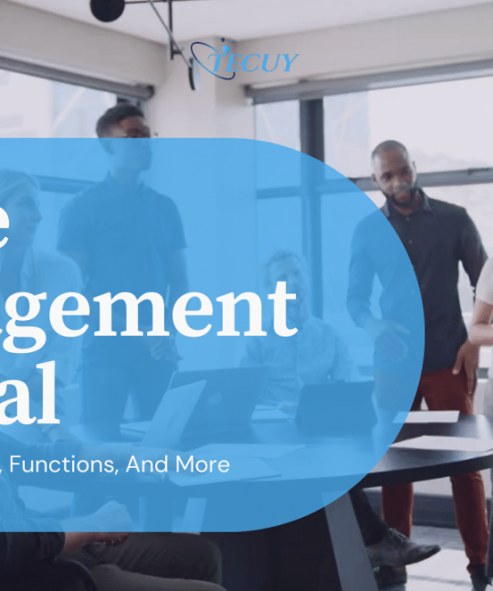 A Complete Guide To Office Management And Why Is It Important In 2024?